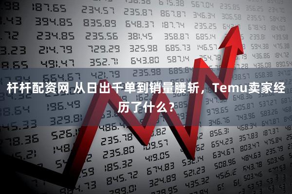 杆杆配资网 从日出千单到销量腰斩，Temu卖家经历了什么？